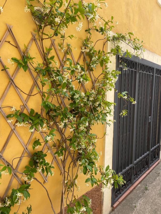 B&B Mela Roggiano Gravina エクステリア 写真